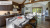 Noblle Quartz Q902 Patagonia Platinum