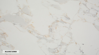 WSP Stone WLSJ90З7 Блики