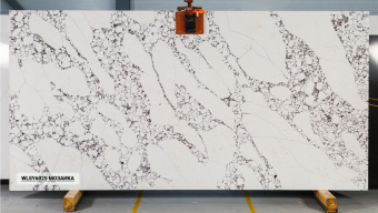 WSP Stone WLSY6025 Мозаика