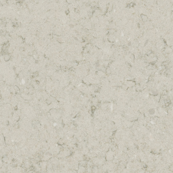 TechniStone Wild Yucca