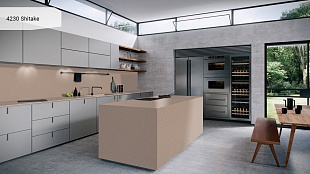 Столешница из камня Caesarstone Shitake 4230