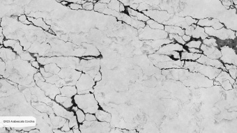 Noblle Quartz Q923 Arabescato Corchia