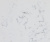IDS-Stone Carrara White 1401