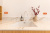 Quantra Quartz Serenade 9966