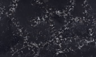 IMPERIAL QUARTZ 9001 GRAND ANTIQUE
