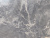 Coante 10320 Nerissa