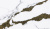 Etna Quartz EQMM 070 Calacatta Star
