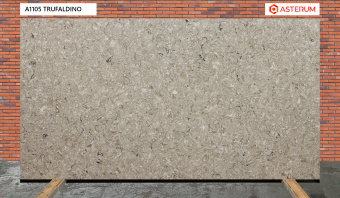 ASTERUM A1105 Trufaldino