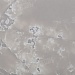Etna Quartz EQPM 023 White Ice
