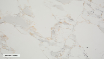 WSP Stone WLSJ90З7 Блики