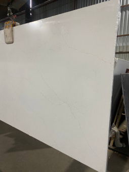 Stratos C5445 Muse